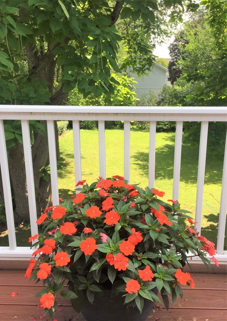 A historic village home turns modern and minimal.