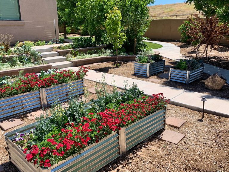 A modern style garden with a twist.