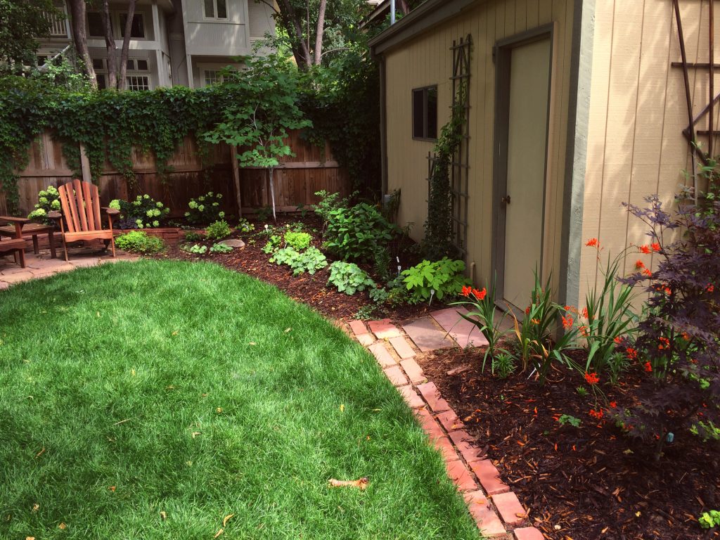 Adam Clack, 2016, All Rights Reserved