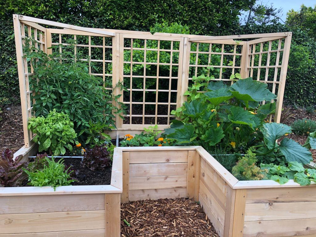 All cedar U-shaped raised bed with trellis for an organic all-season vegetable and herb garden. Eden Condensed creates custom kitchen gardens for small and large yards.