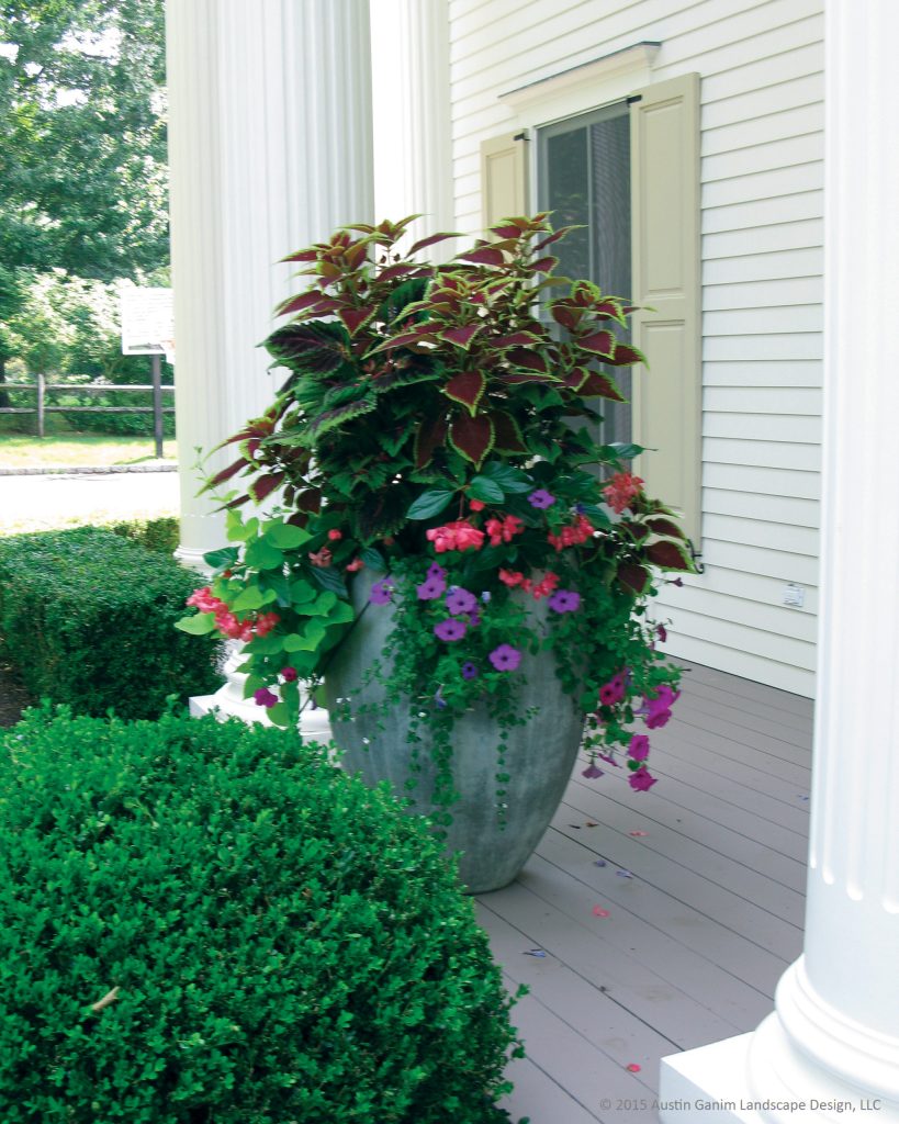 An extra large Verdigris planter filled with white bacopa, purple & fuchsia wave petunias, pink dragon wing begonia and chartreuse sweet potato vine. Austin Ganim Landscape Design, LLC by Austin Ganim Landscape Design, LLC | Outdoor Photos | Porch | Landscaping | Landscape Design | Outdoor Living Space | Porch Design Ideas | Outdoor Living Space Ideas | Backyard Design