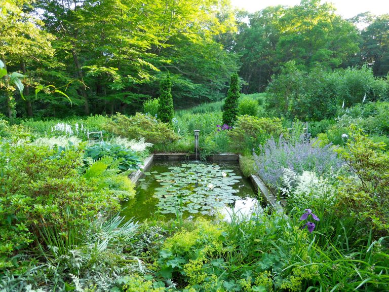 Blue & White Garden with rectangular lily pond; azaleas, tree peonies, assorted Spring bulbs, perennials and flowering shrubs. Display Garden, Seekonk, MA.