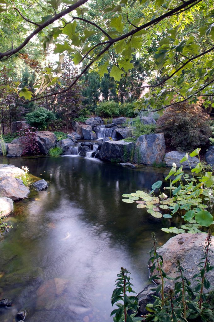 Chemical-Free Natural Swim Pool Design