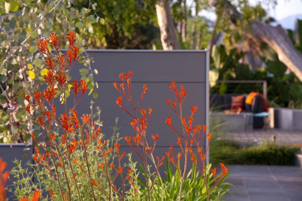 Classic porch idea in Los Angeles with decking by Environmental Design Studio | Outdoor Photos | Porch | Landscaping | Landscape Design | Outdoor Living Space | Porch Design Ideas | Outdoor Living Space Ideas | Backyard Design