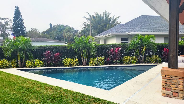 Contemporary Triangular Pool in Orlando