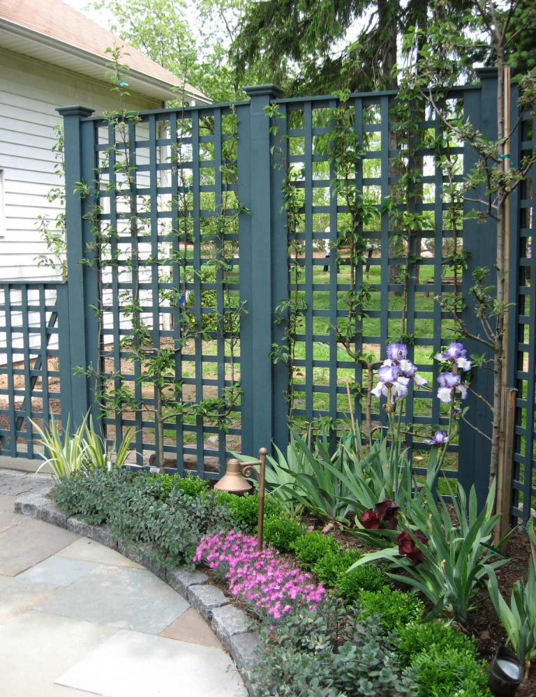 Custom trellis stained Benjamin Moore Yorktowne Green HC-133 are supports for espaliered apple trees and a backdrop for a small deer resistant perennial bed.