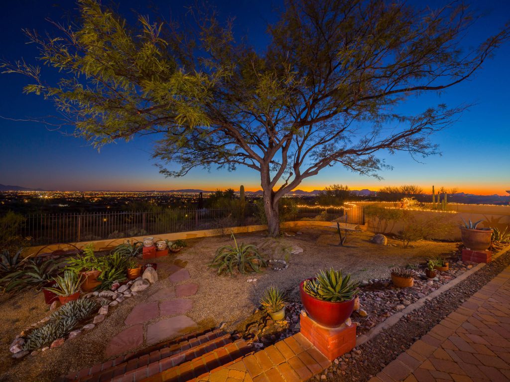 Dave Carter/Carter Photography