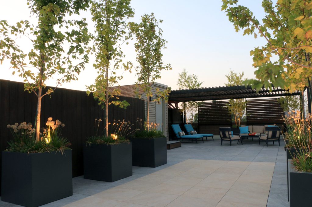 Deck - large contemporary rooftop deck idea in Chicago with a pergola