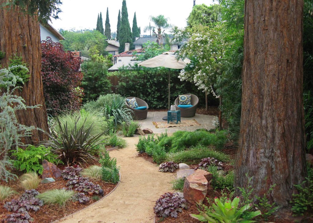 Decomposed Granite path between Giant Sequoias leads to repurposed, reshaped and stained rear concrete slab. Micro-climate appropriate plants complete the picture. Photo by Ketti Kupper.