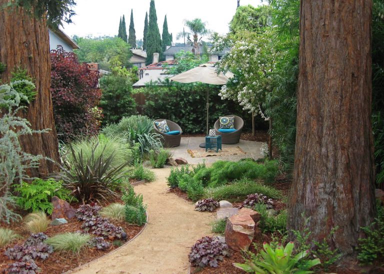 Decomposed Granite path between Giant Sequoias leads to repurposed, reshaped and stained rear concrete slab. Micro-climate appropriate plants complete the picture. Photo by Ketti Kupper.