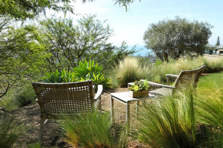 Design ideas for a huge contemporary partial sun backyard mulch landscaping in Orange County for spring. | Backyard Design Ideas