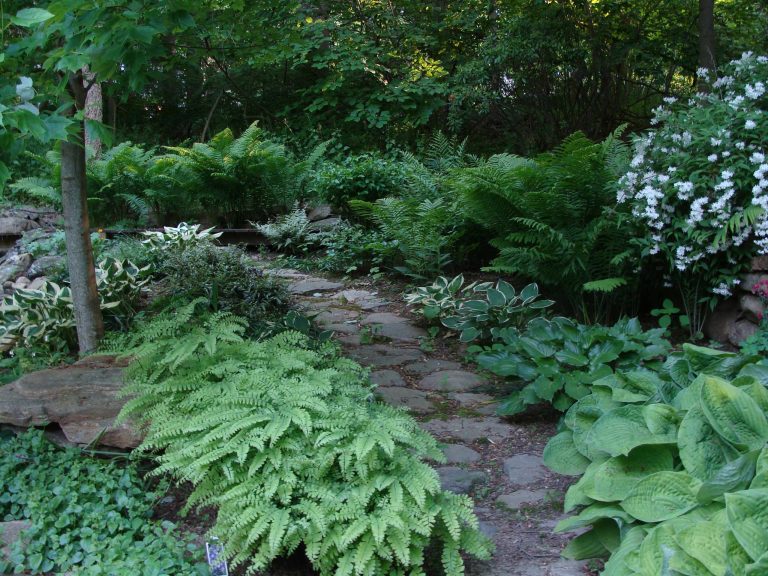 Design ideas for a large traditional partial sun backyard stone garden path in New York.