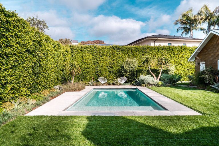 Design ideas for a mid-century modern backyard landscaping in Orange County.