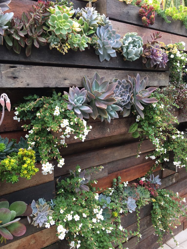 Design ideas for a mid-sized modern drought-tolerant backyard landscaping in Other.