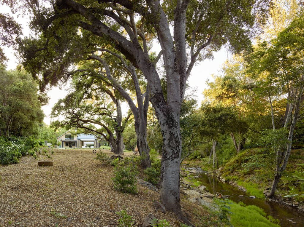 Design ideas for a modern backyard pond in San Francisco.