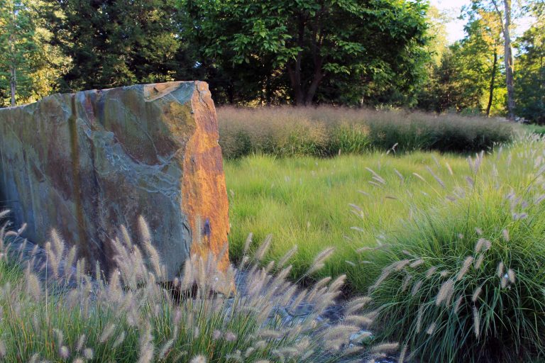 Design ideas for an eclectic backyard landscaping in New York.