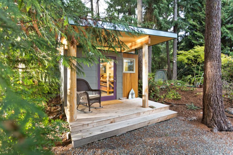 Dominic Arizona Bonuccelli