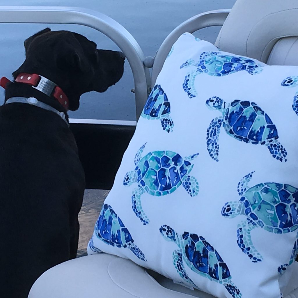 Durable outdoor fabrics for comfort.