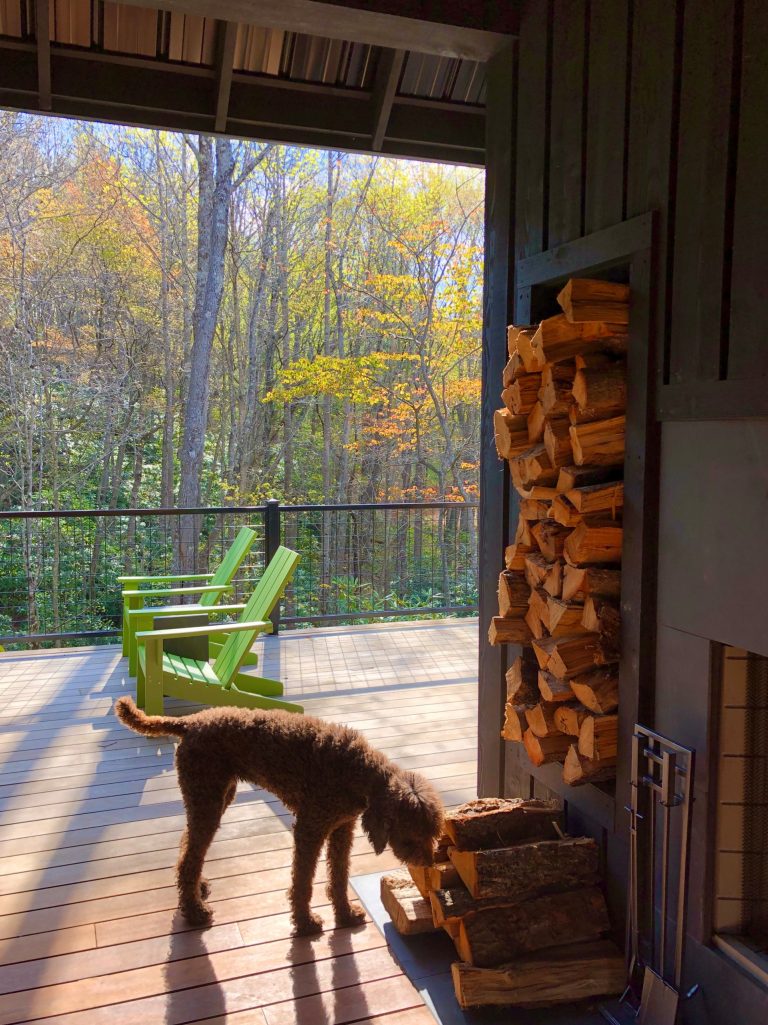 Eclectic porch idea in Charlotte by Jay Sifford Garden Design | Outdoor Photos | Porch | Landscaping | Landscape Design | Outdoor Living Space | Porch Design Ideas | Outdoor Living Space Ideas | Backyard Design