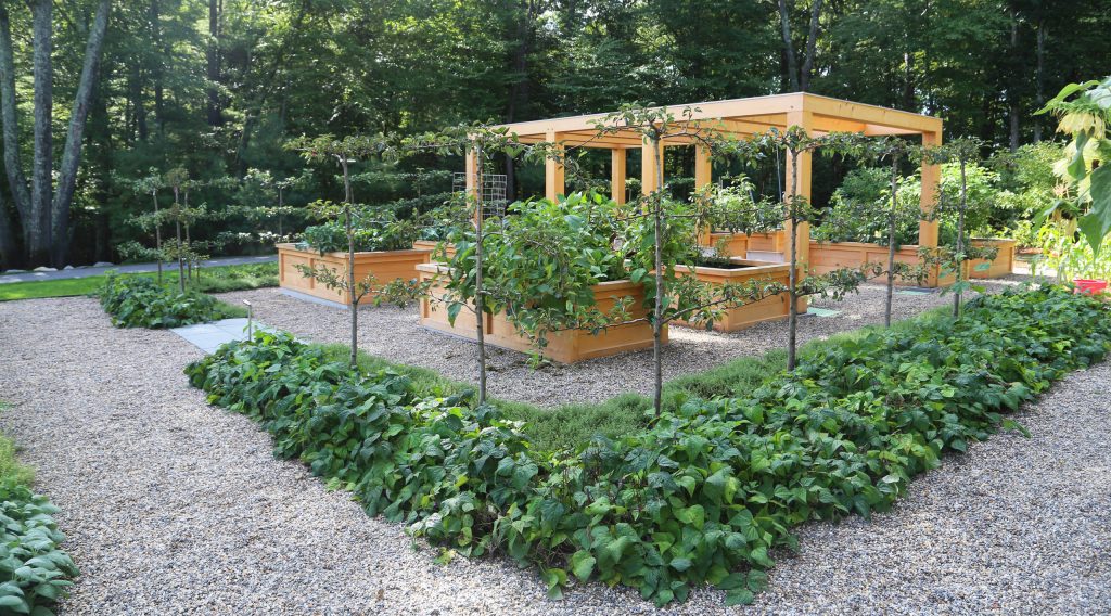 Espelier pear trees, inground herb beds, raised vegetable planters, wood pergola