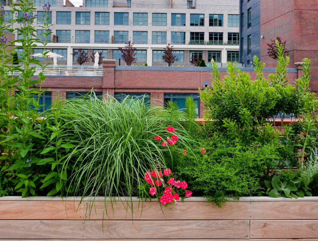 Example of a large minimalist rooftop rooftop mixed material railing outdoor kitchen deck design in New York with a pergola