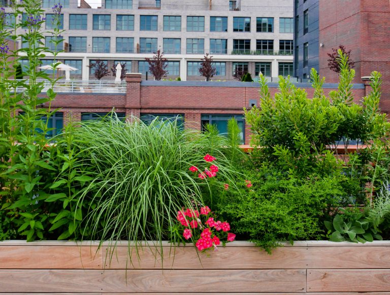 Example of a large minimalist rooftop rooftop mixed material railing outdoor kitchen deck design in New York with a pergola