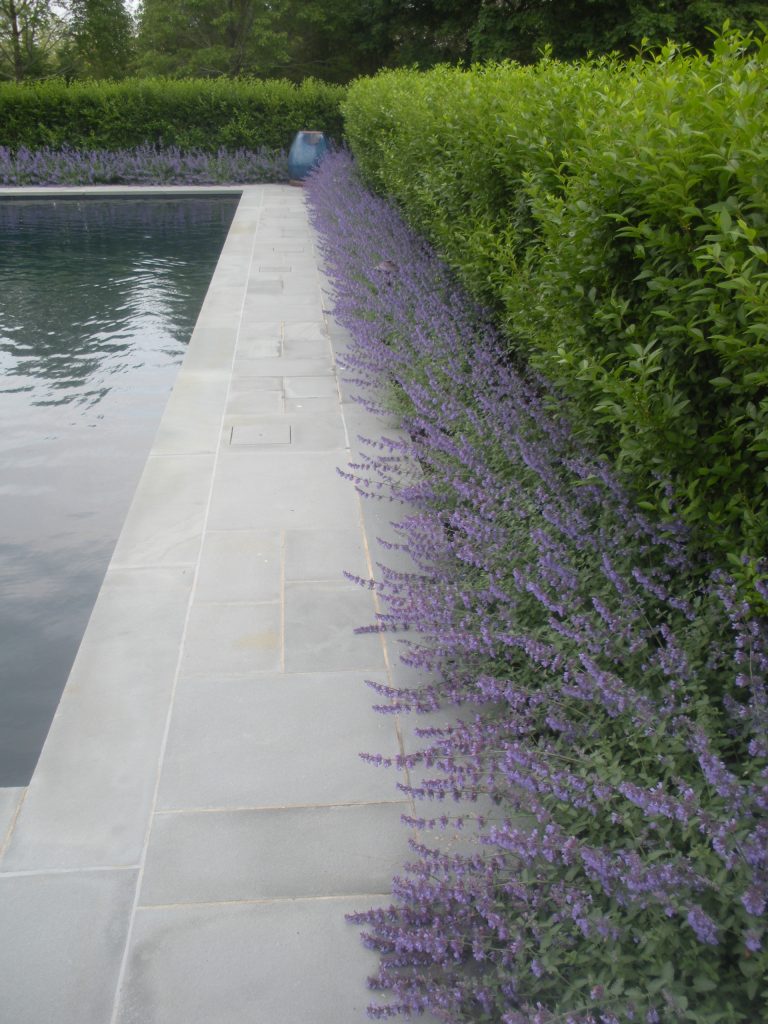 Example of a mid-sized trendy backyard stone and rectangular pool design in New York