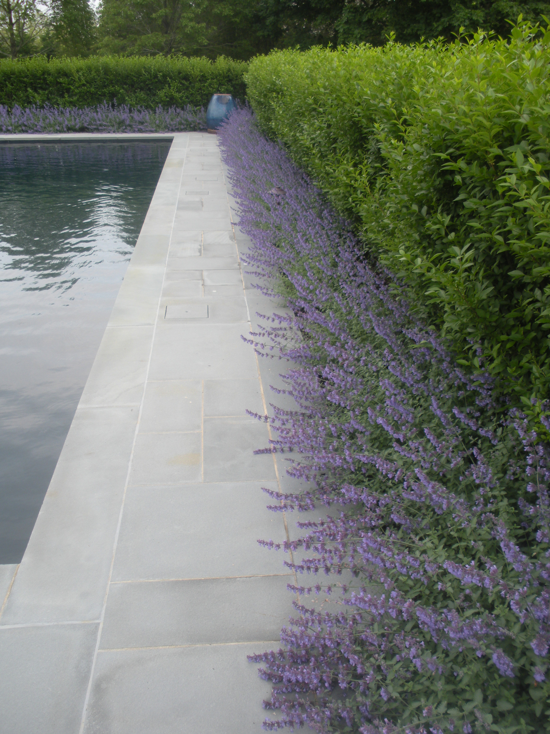 Example of a mid-sized trendy backyard stone and rectangular pool design in New York