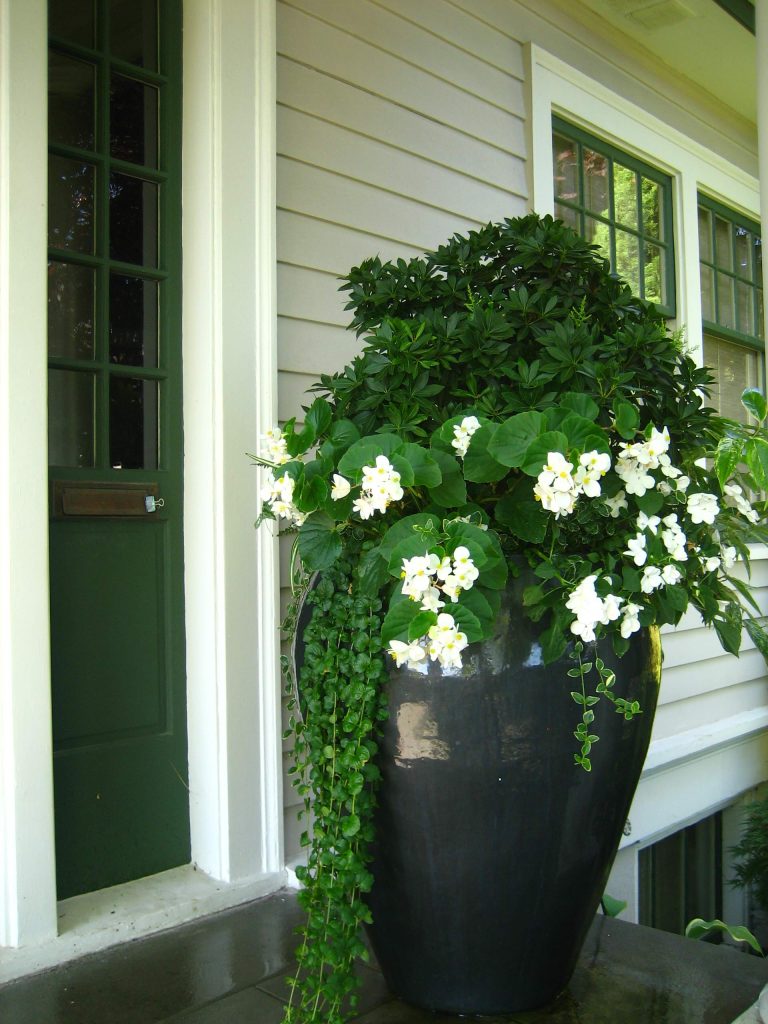 Examples of Fall and Spring containers designed for a long time client.