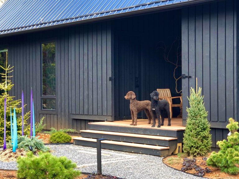 Farmhouse porch photo in Charlotte by Jay Sifford Garden Design | Outdoor Photos | Porch | Landscaping | Landscape Design | Outdoor Living Space | Porch Design Ideas | Outdoor Living Space Ideas | Backyard Design