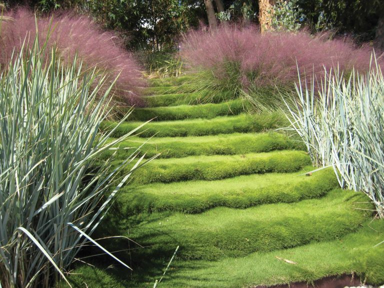 Grass steps are the central element in a layered hilside landscape.