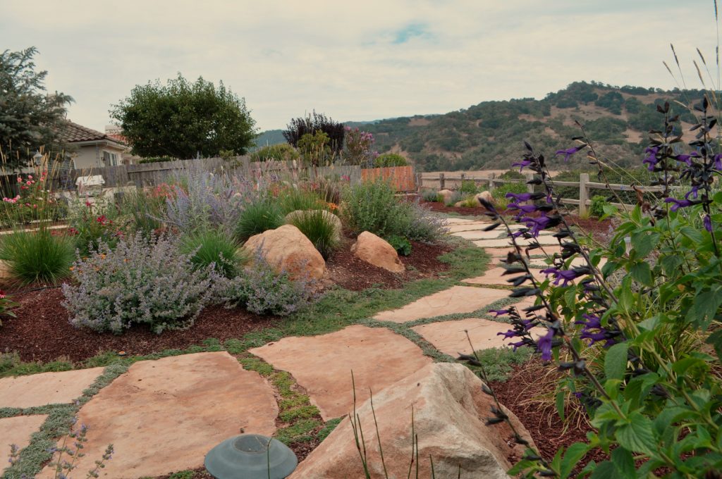 Inspiration for a large contemporary drought-tolerant and full sun backyard stone garden path in Santa Barbara.