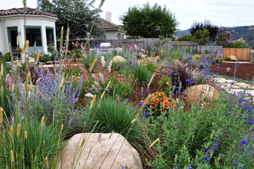 Inspiration for a large contemporary full sun backyard mulch garden path in Santa Barbara for spring.
