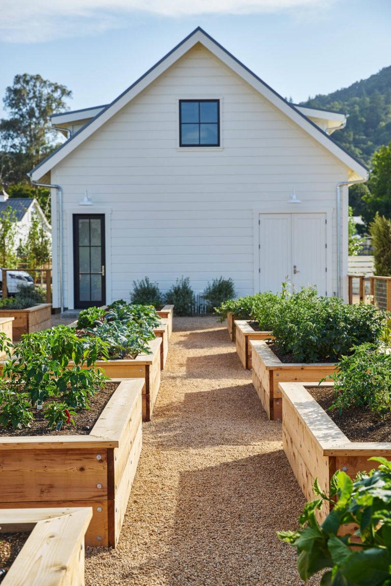 Inspiration for a large farmhouse full sun backyard gravel vegetable garden landscape in San Francisco for summer.