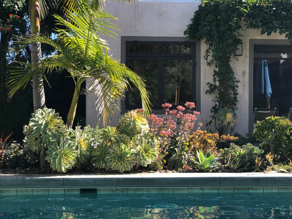 Inspiration for a large modern backyard concrete paver and rectangular natural pool remodel in San Diego