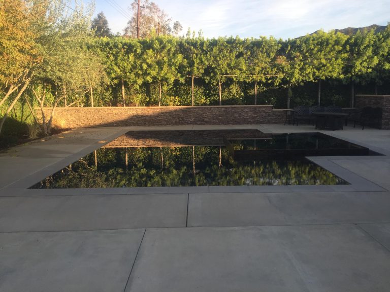 Inspiration for a mid-sized modern backyard concrete paver and l-shaped infinity hot tub remodel in Los Angeles