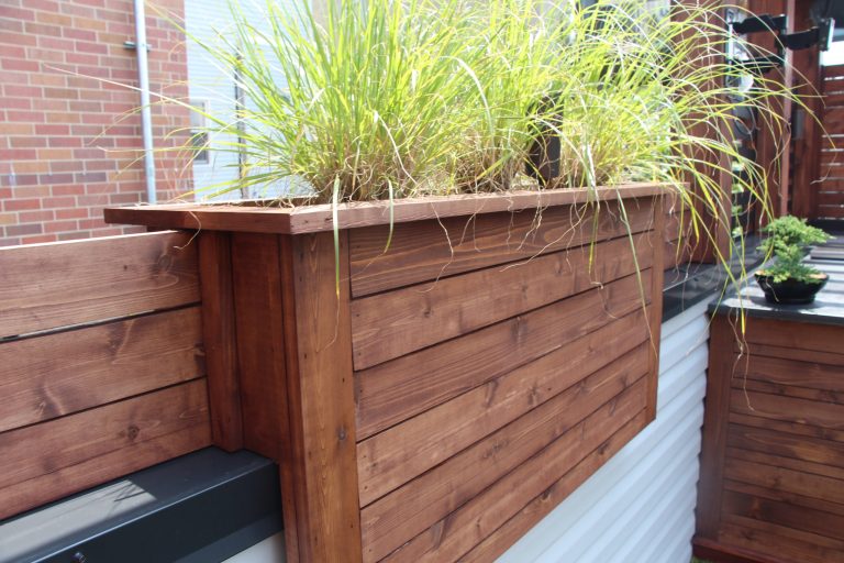 Inspiration for a mid-sized modern rooftop outdoor kitchen deck remodel in Chicago with a pergola