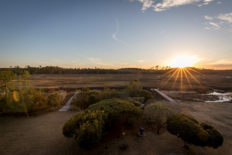 Inspiration for a modern porch remodel in Charleston by FORMVOID | Outdoor Photos | Porch | Landscaping | Landscape Design | Outdoor Living Space | Porch Design Ideas | Outdoor Living Space Ideas | Backyard Design