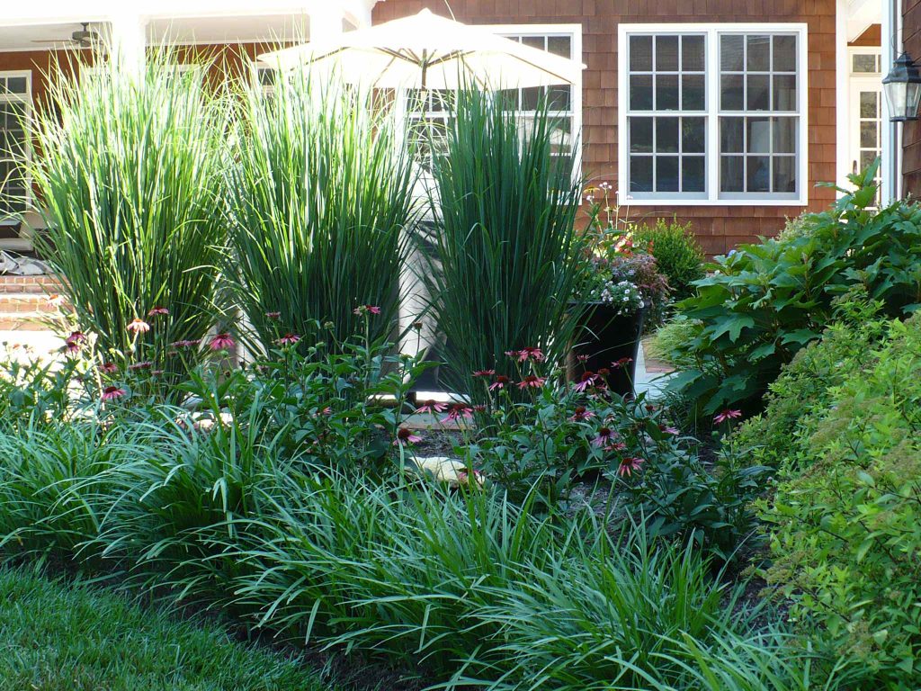Inspiration for a small traditional partial sun backyard landscaping in Baltimore for summer.
