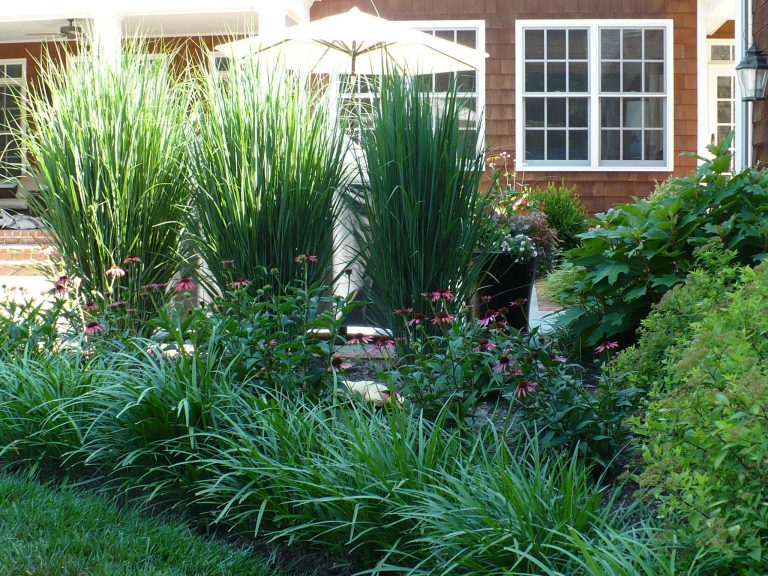 Inspiration for a small traditional partial sun backyard landscaping in Baltimore for summer.
