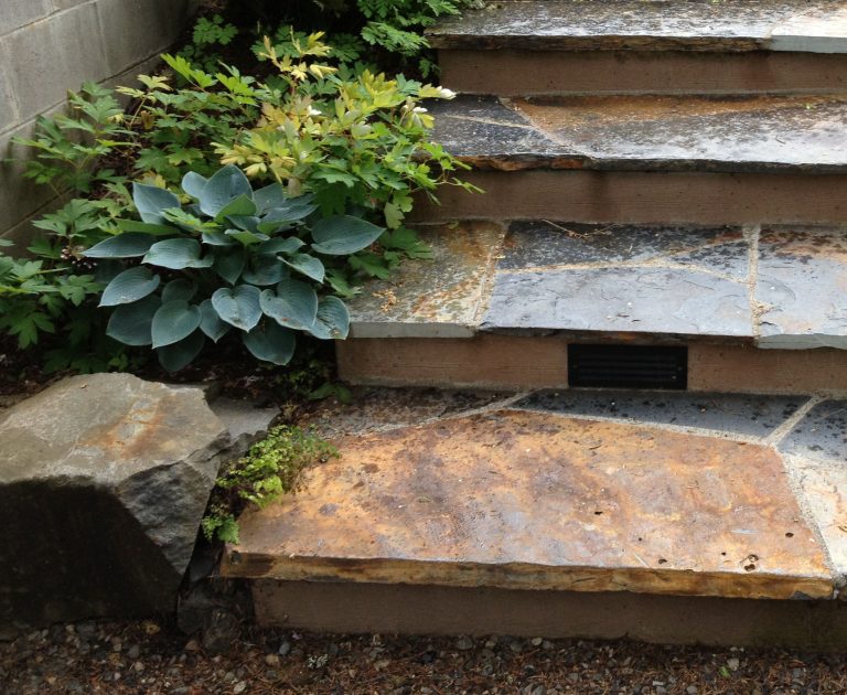 Iron Mountain Flagstone Steps built by my client Rick. Native Bleeding hearts and a hosta softer the edges of the new stairs.