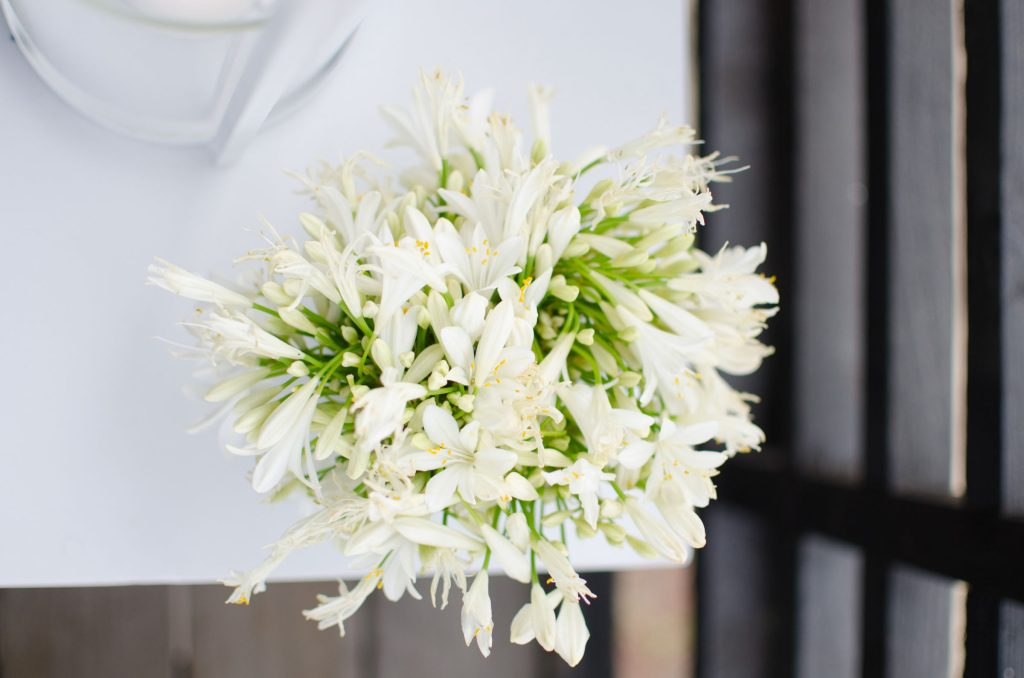 Jana Bishop Photography