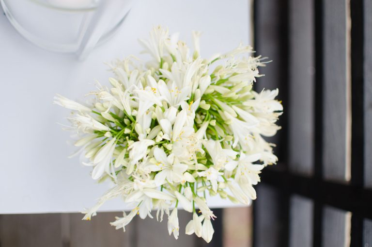 Jana Bishop Photography