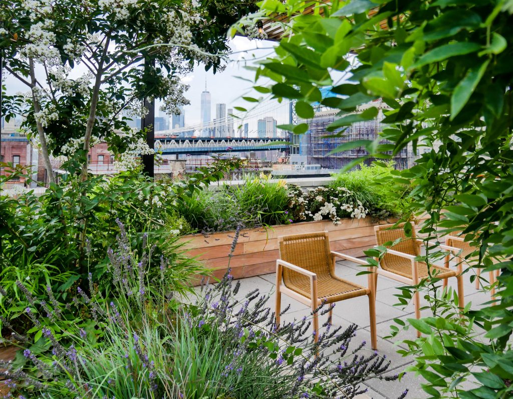 Large minimalist rooftop rooftop mixed material railing outdoor kitchen deck photo in New York with a pergola
