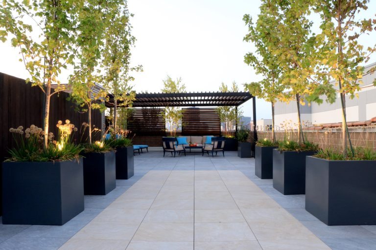 Large trendy rooftop deck container garden photo in Chicago with a pergola