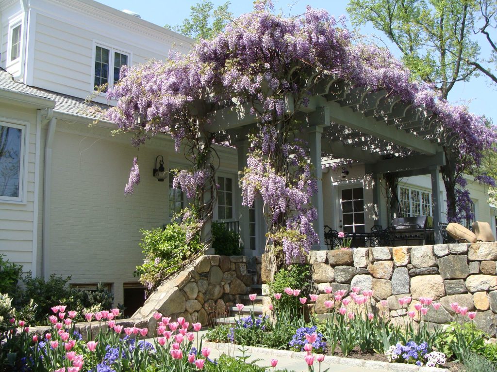 Left side of patio in Spring time