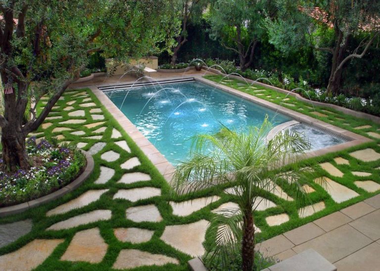 New pool with automatic cover and flagstone decking around existing olive trees.