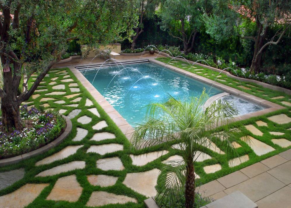 New pool with automatic cover and flagstone decking around existing olive trees.