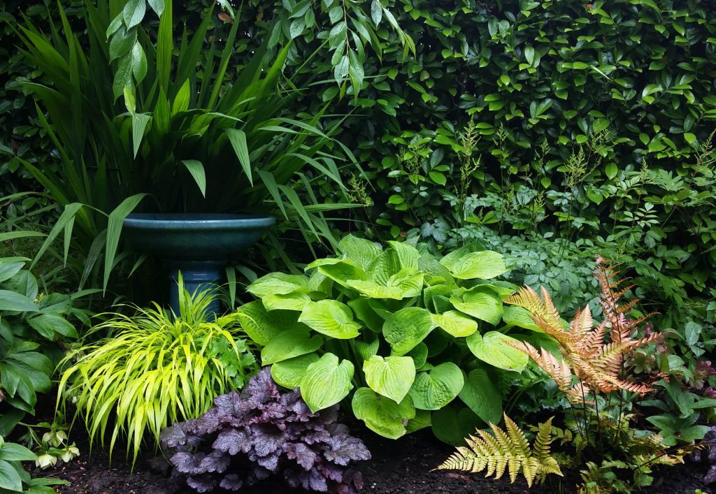 Olander Garden Design