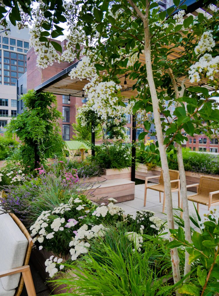 Outdoor kitchen deck - large modern rooftop rooftop mixed material railing outdoor kitchen deck idea in New York with a pergola